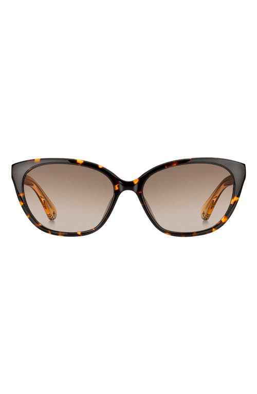 Kate Spade New York Phillipa 54mm Gradient Cat Eye Sunglasses In Havana/beige/brown