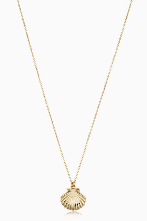 Shop Oradina 14k Yellow Gold Seashell Pendant Necklace