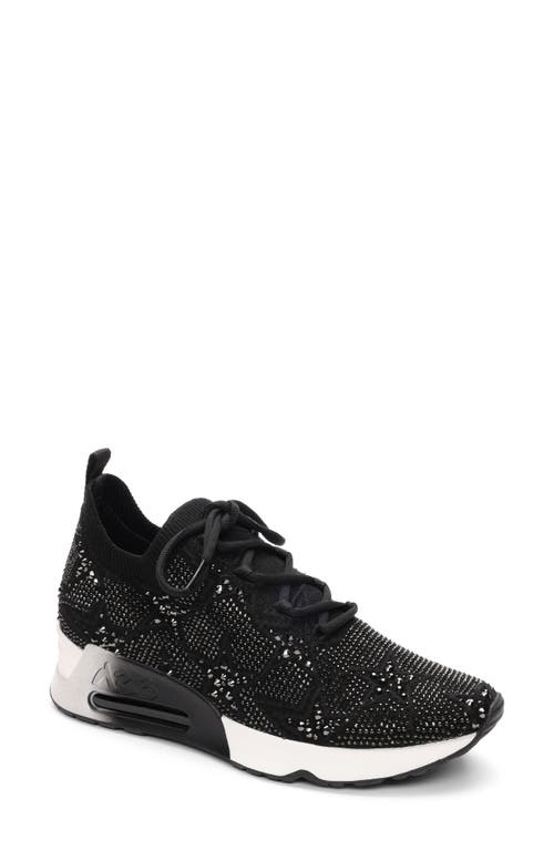 Ash Women's Lucky Star Lace Up Sneakers In Black