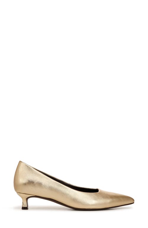 Shop Naturalizer Natalia Pointed Toe Kitten Heel Pump In Dark Gold Leather