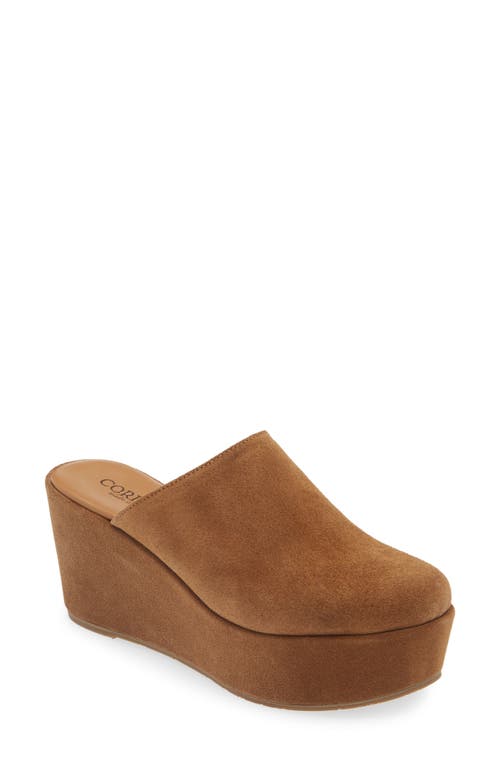 Shop Cordani Jules Platform Mule In Clove Suede