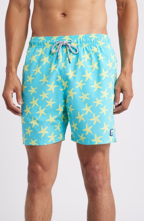 Tom & Teddy Starfish Swim Trunks in Sky & Yellow 