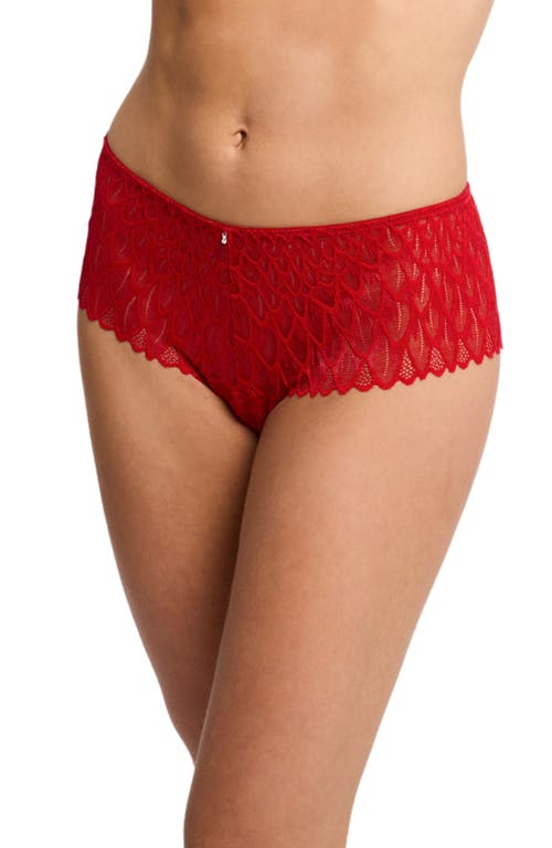 Feather Lace Brazilian Briefs in Sweet Red