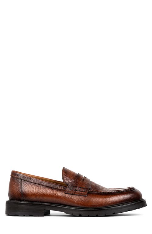 Shop Donald Pliner Lug Penny Loafer In Cognac