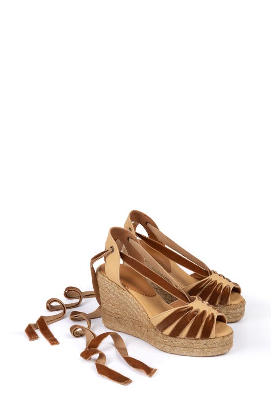 Shop Penelope Chilvers Catalina Dali Espadrille Wedge In Honey/ Gold