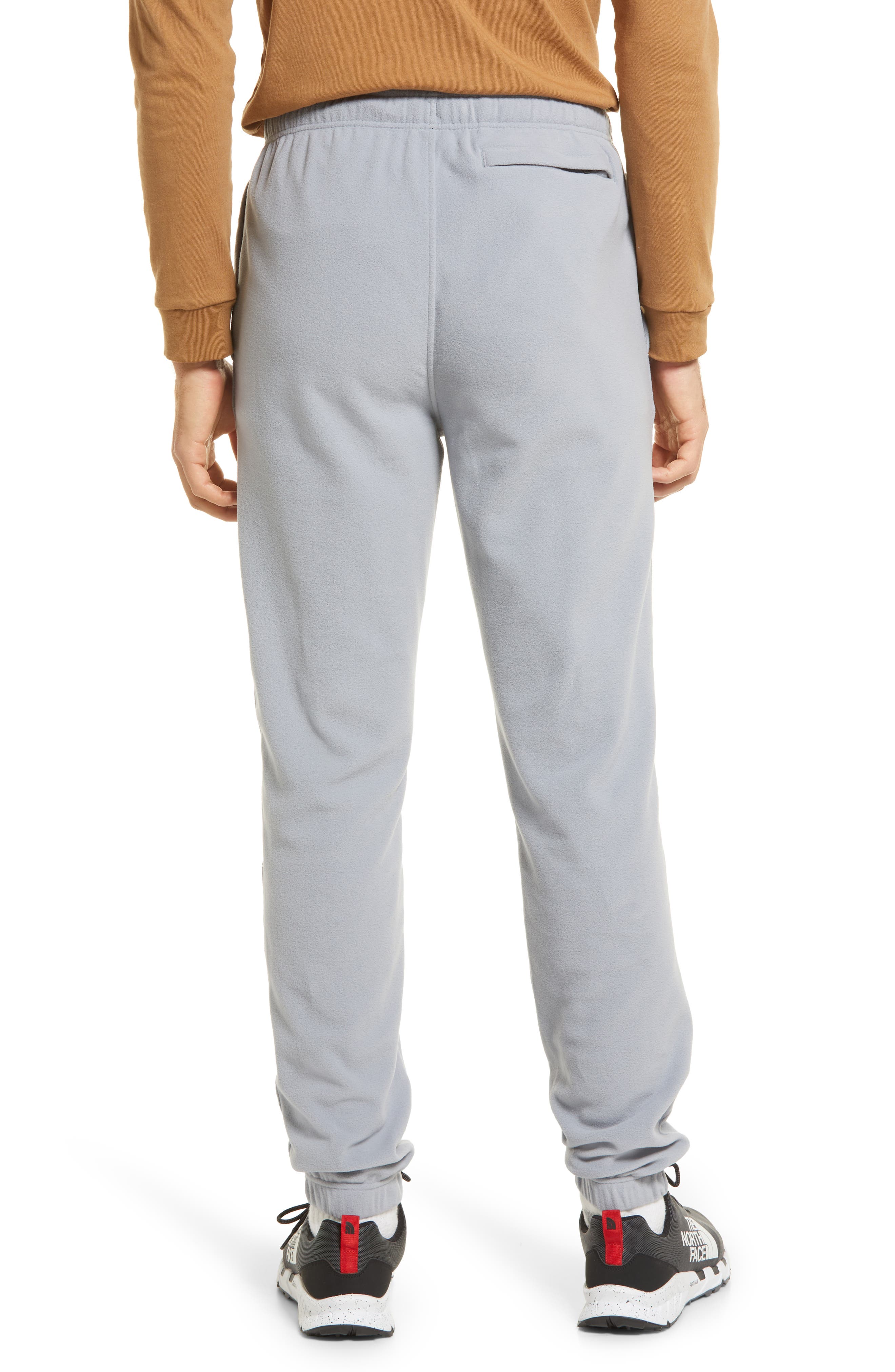 the north face glacier pant in grey