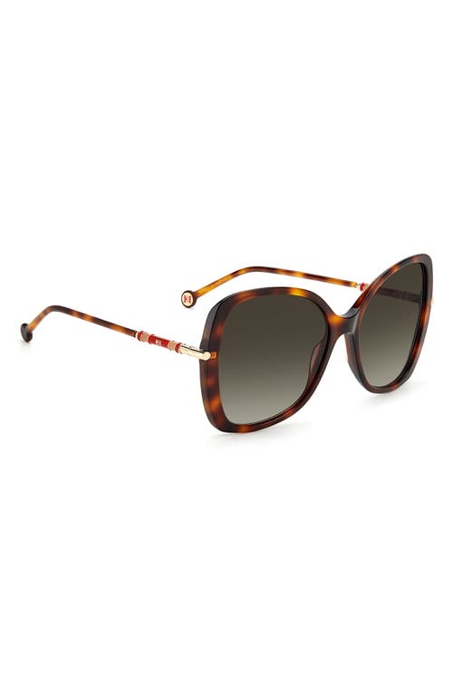 Shop Carolina Herrera 55mm Gradient Square Sunglasses In Havana/brown Gradient
