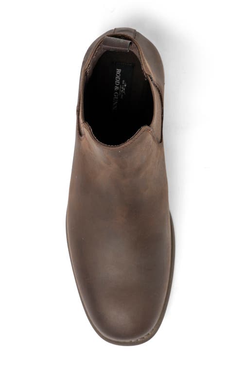 Shop Rodd & Gunn Ealing Chelsea Boot In Chocolate