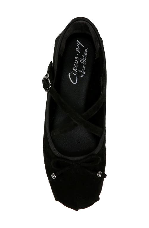 Circus Ny By Sam Edelman Zuri Ballet Flat In Black Suede