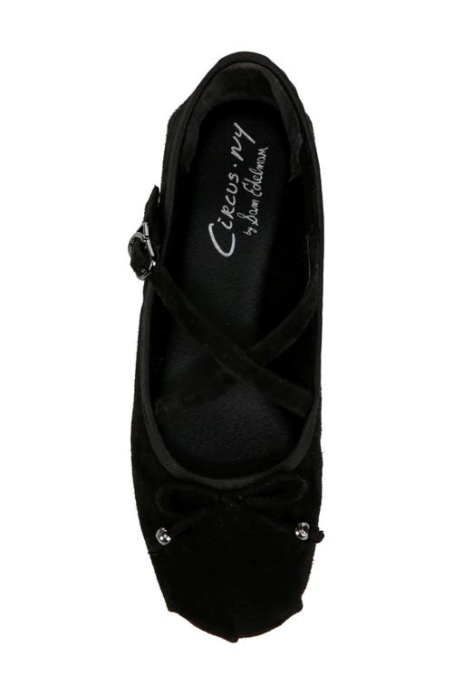 Shop Circus Ny By Sam Edelman Zuri Ballet Flat In Black Suede