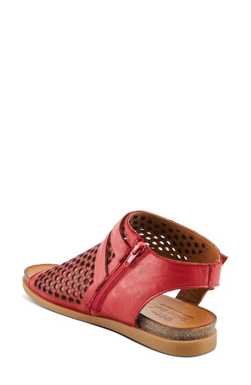 Shop Spring Step Covington Sandal In Red