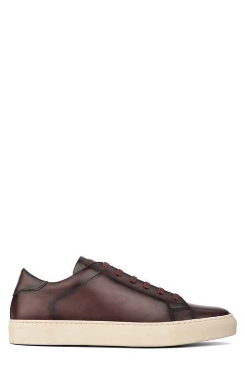 Shop To Boot New York Pescara Sneaker In Bordo