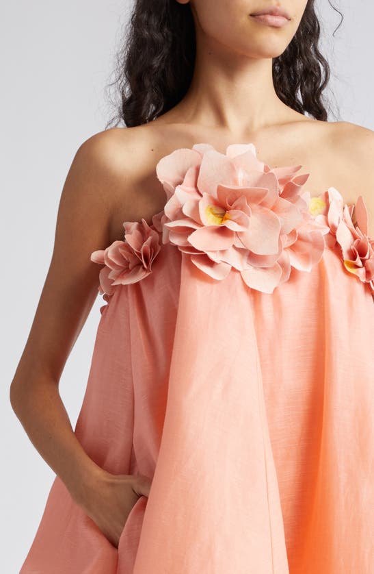 Shop Zimmermann Natura Floral Appliqué Strapless Linen & Silk Minidress In Coral