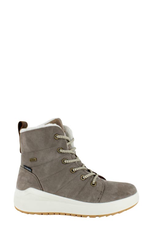 Naot Turner Water Resistant Lace-up Bootie In Gray/beige W/white