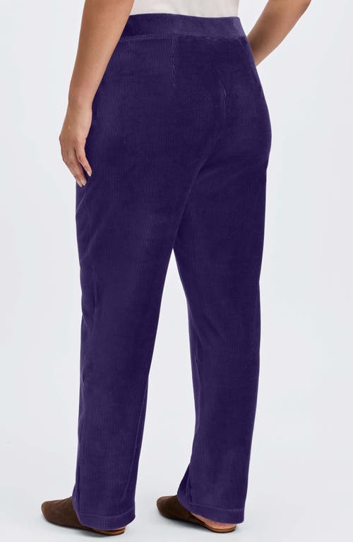 Foxcroft Caden Plush Corduroy Pants In Deep Purple