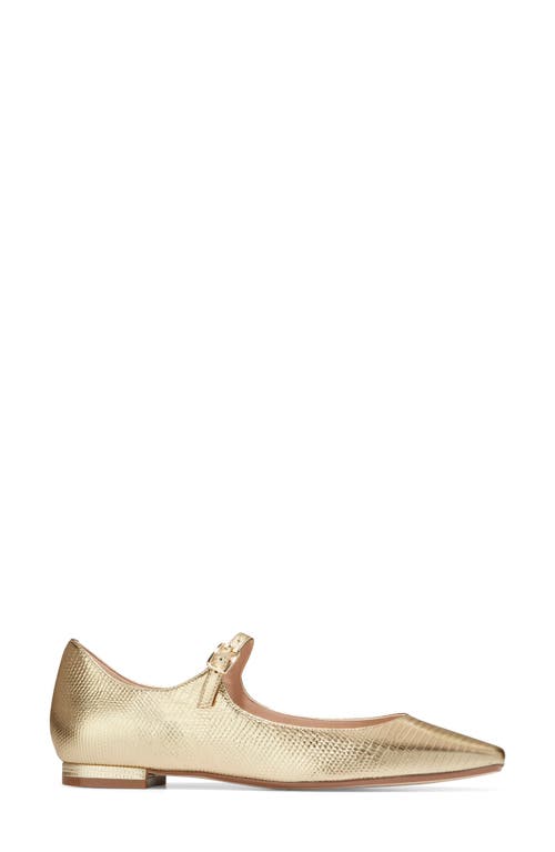 Shop Cole Haan Bridge Mary Jane Ballet Flat In Gold Lizar