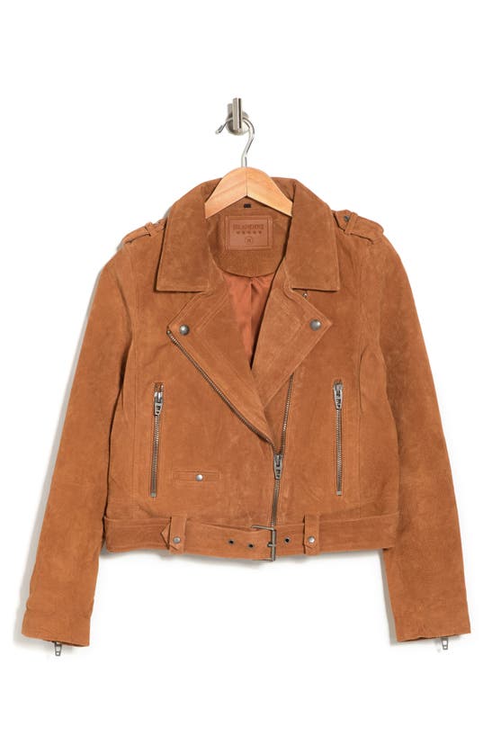 Blanknyc suede moto shop jacket el dorado