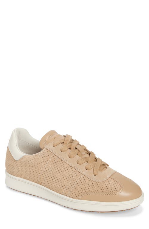 Shop Frankie4 Drew Sneaker In Sand Suede