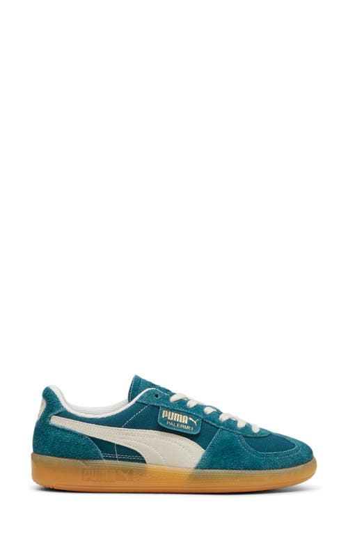 Shop Puma Palermo Vintage Sneaker In Jade Frost-frosted Ivory-gum