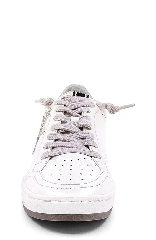 Shop Shushop Kids' Paz Sneaker In White/pearl