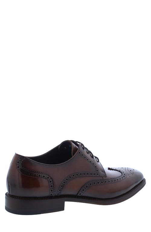 Penny Lane Harley Wingtip Derby In Cognac