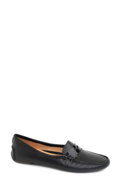 Patricia Green Janet Scalloped Driving Loafer In Black