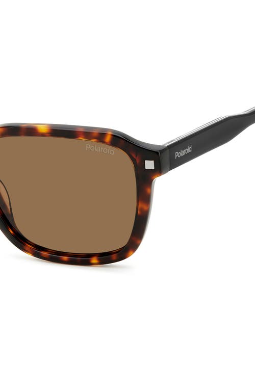 Shop Polaroid 53mm Polarized Rectangular Sunglasses In Havana/bronze Polarized