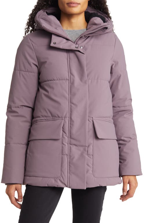 Save The Duck Bessie Water Resistant Faux Shearling Lined Recycled Polyester Coat in Ash Violet