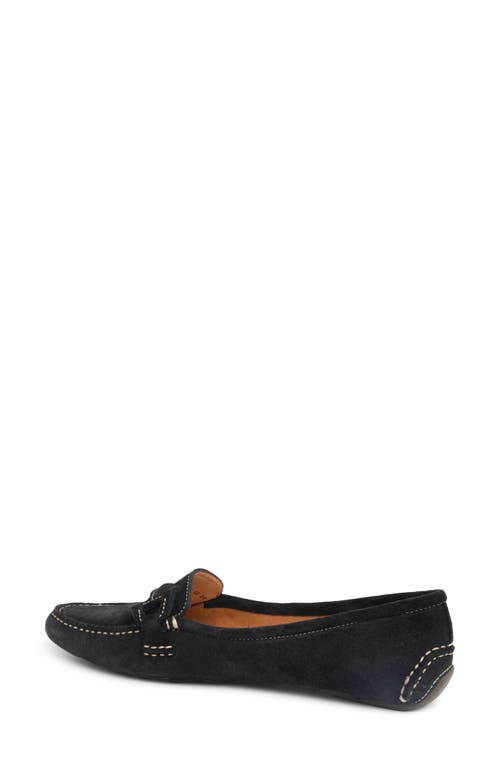 Shop Patricia Green Jane Bit Loafer In Black Suede