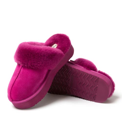 Shop Dearfoams Fireside Melton Genuine Shearling Platform Scuff Slipper In Mystic Purple