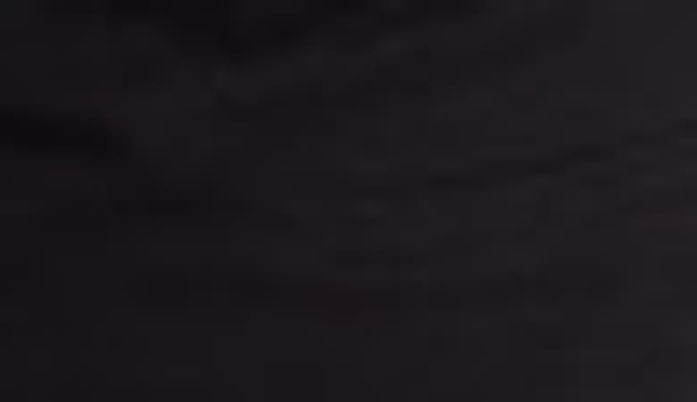 Shop Unionbay Delaney Stretch Twill Shorts In Black