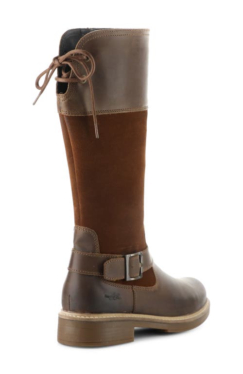 BOS. & CO. BOS. & CO. MATEO WATERPROOF KNEE HIGH BOOT 