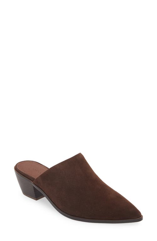 CHOCOLAT BLU CHOCOLAT BLU CELLIA POINTED TOE MULE 