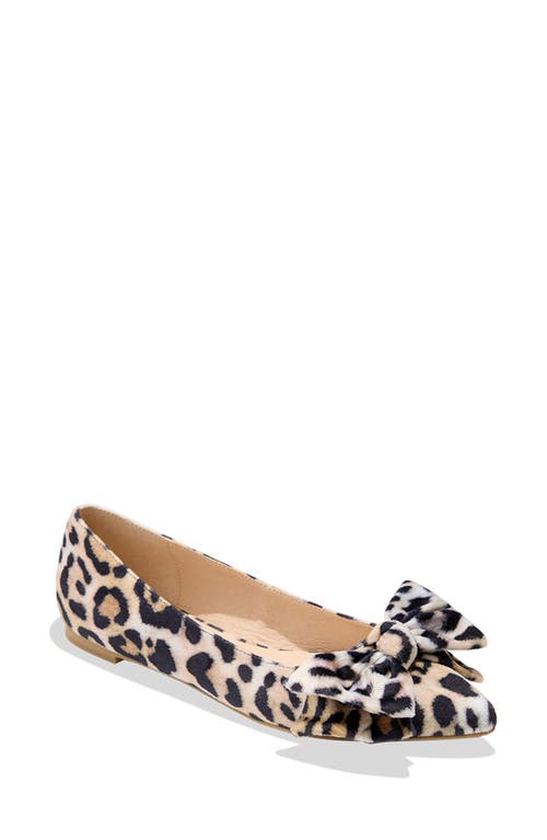 Shop Jack Rogers Debra Pointed Toe Flat In Leopard