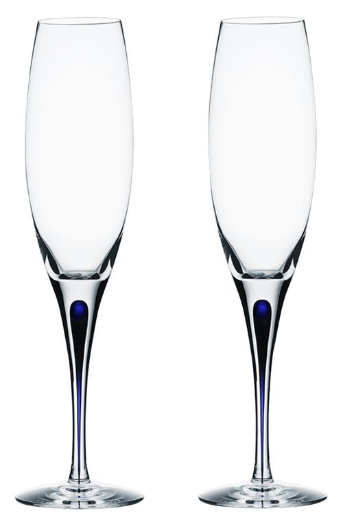 Orrefors Intermezzo Set of 2 Champagne Flutes in Clear at Nordstrom