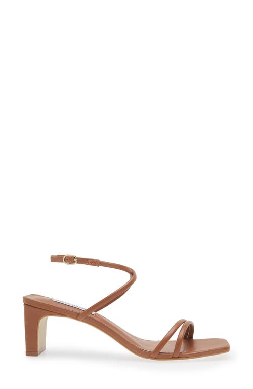 Shop Steve Madden Stefania Ankle Strap Sandal In Brown Leather