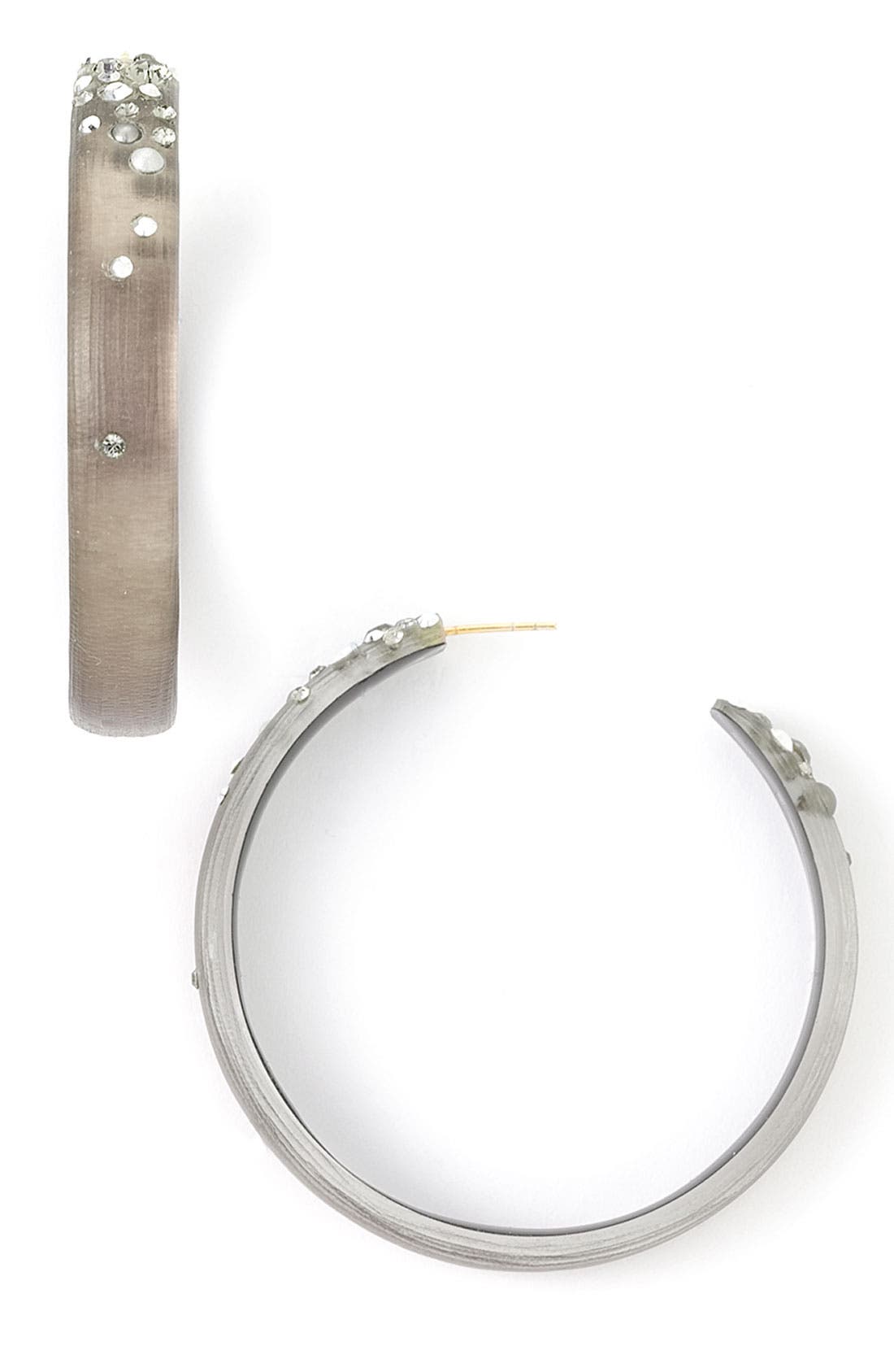 diamond dust hoop earrings