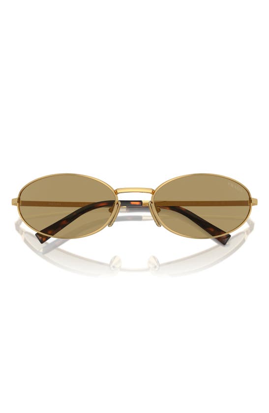 Prada 59mm Oval Sunglasses In Gold