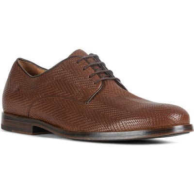Geox Bayle 12 Plain Toe Derby, Brown