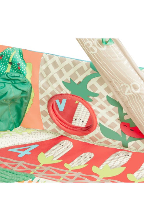 Skip Hop Farmstand Grow & Play Activity Gym In Multi