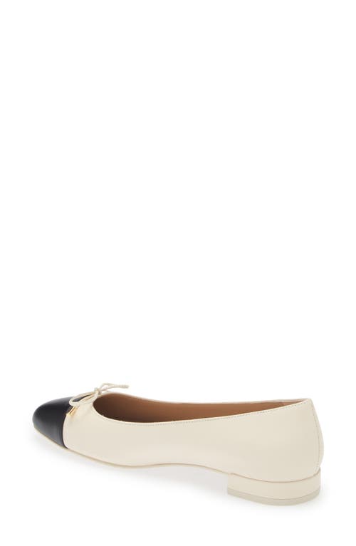 Shop Stuart Weitzman Sleek Cap Toe Bow Flat In Seashell/black