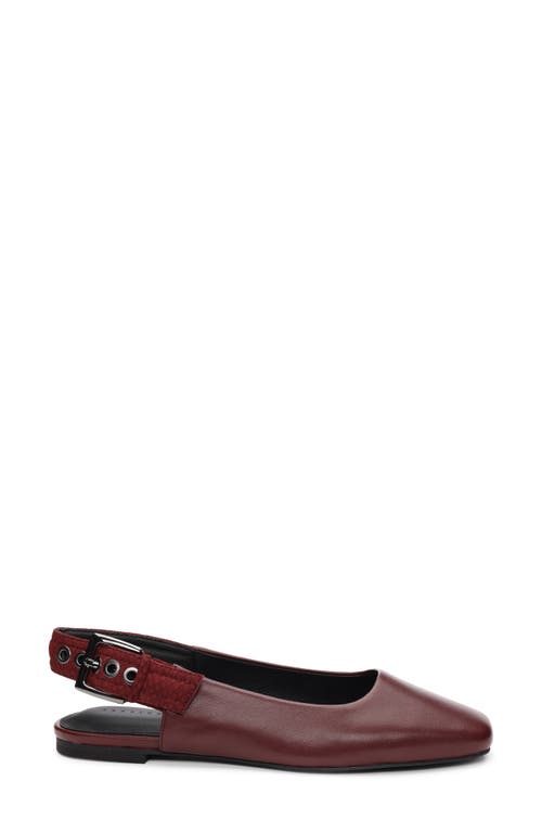 Shop Sanctuary Kitchy Slingback Flat In Oxblood