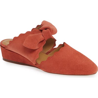 Klub Nico Daisy Mule, Orange