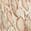 selected Soft Snake color