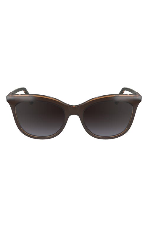 Longchamp 53mm Gradient Cat Eye Sunglasses In Brown/grey