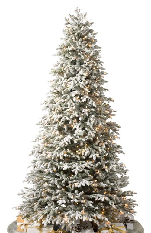 Balsam Hill Frosted Fraser Fir® Pre-Lit Artificial Tree in Led Clear 