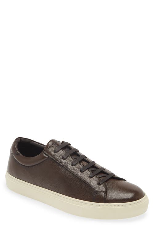 To Boot New York Men's Pescara Leather Low-top Sneakers In Brown