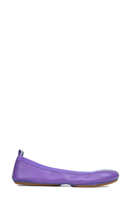 Shop Yosi Samra Samara Ballet Flat In Meta Mauve