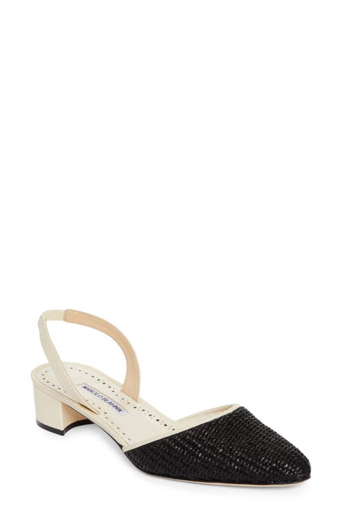 Shop Manolo Blahnik Raffro Slingback Pump In Black