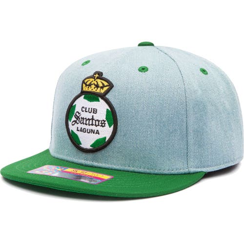 FAN INK Men's Denim/Green Santos Laguna Nirvana Snapback Hat
